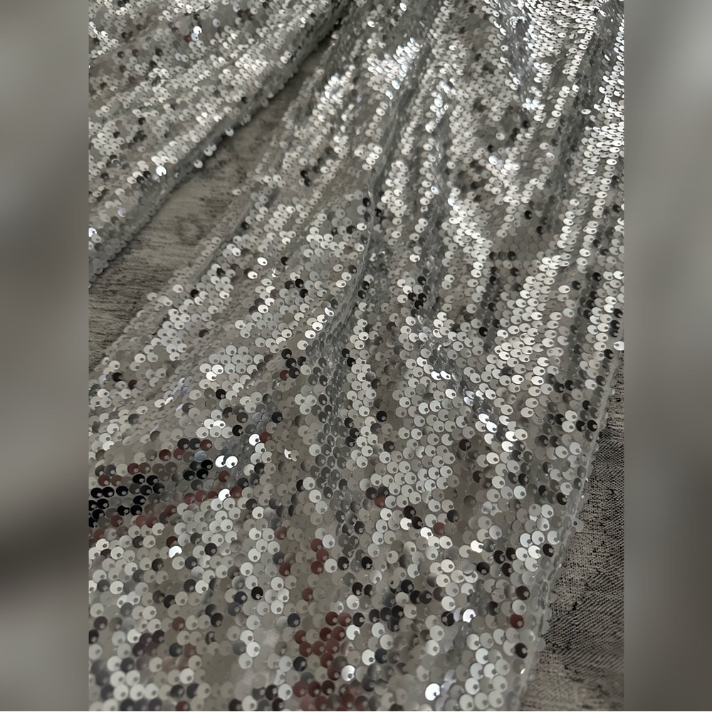 Sequin Pants - image 6